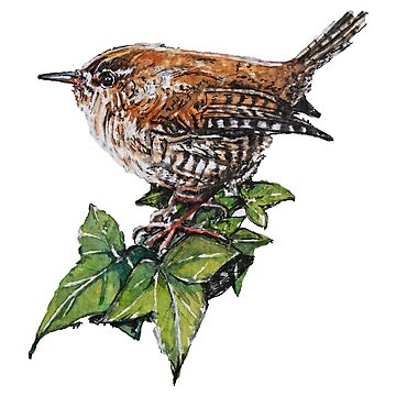 Artwork thumbnail, Jenny Wren, Garden Bird Art by LouiseSchofield