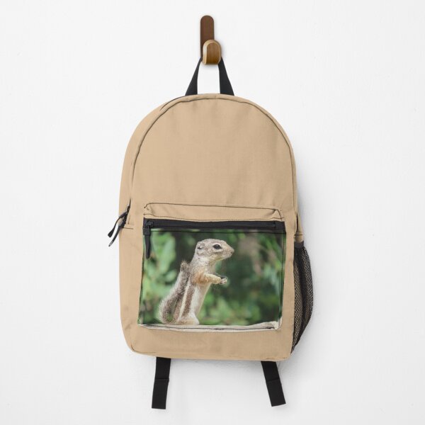 Item preview, Texas Antelope Squirrel designed and sold by Linda Walsh.