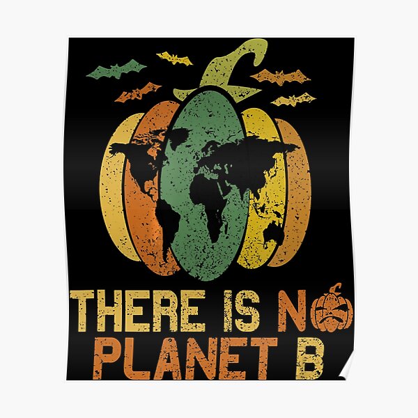 There Is No Planet B (Without Animals) - NEW Classroom Motivational Poster  (cm951)