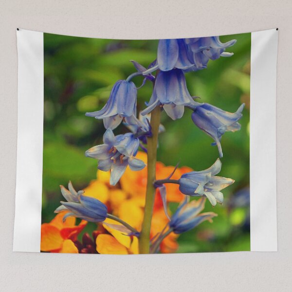 Item preview, Bluebells Spring Flowers Hyacinthoides designed and sold by AndyEvansPhotos.