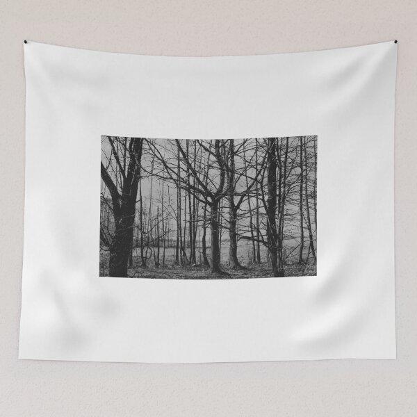 Item preview, Biebrza Marshes designed and sold by Jacek Lidwin.