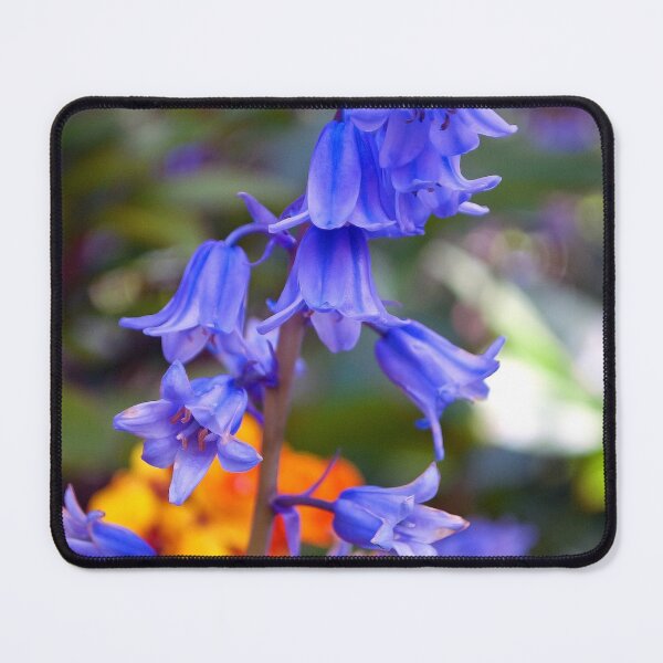 Item preview, Bluebells Spring Flowers Hyacinthoides designed and sold by AndyEvansPhotos.