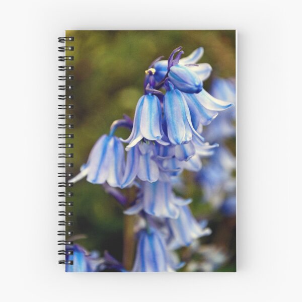 Item preview, Bluebells Spring Flowers Hyacinthoides designed and sold by AndyEvansPhotos.