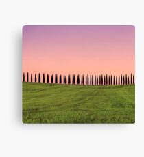 toscana Canvas Print