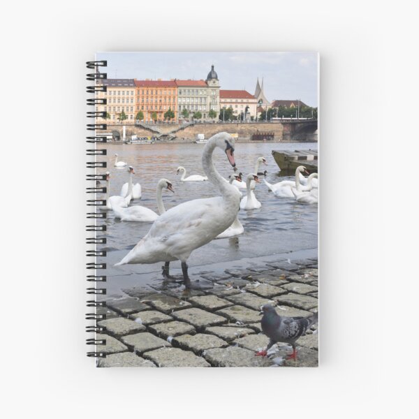 Swans on the Vltava River, Prague, Czech Republic Spiral Notebook