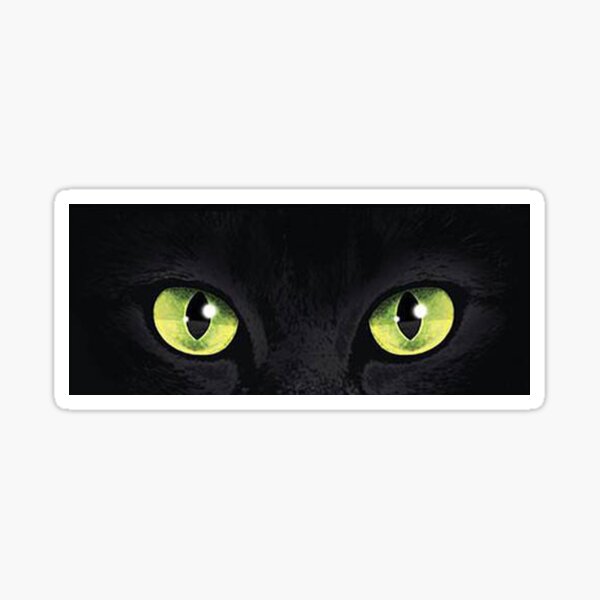 Katze. Katzenauge und Sommer. Cat's Eye & Summer.' Sticker