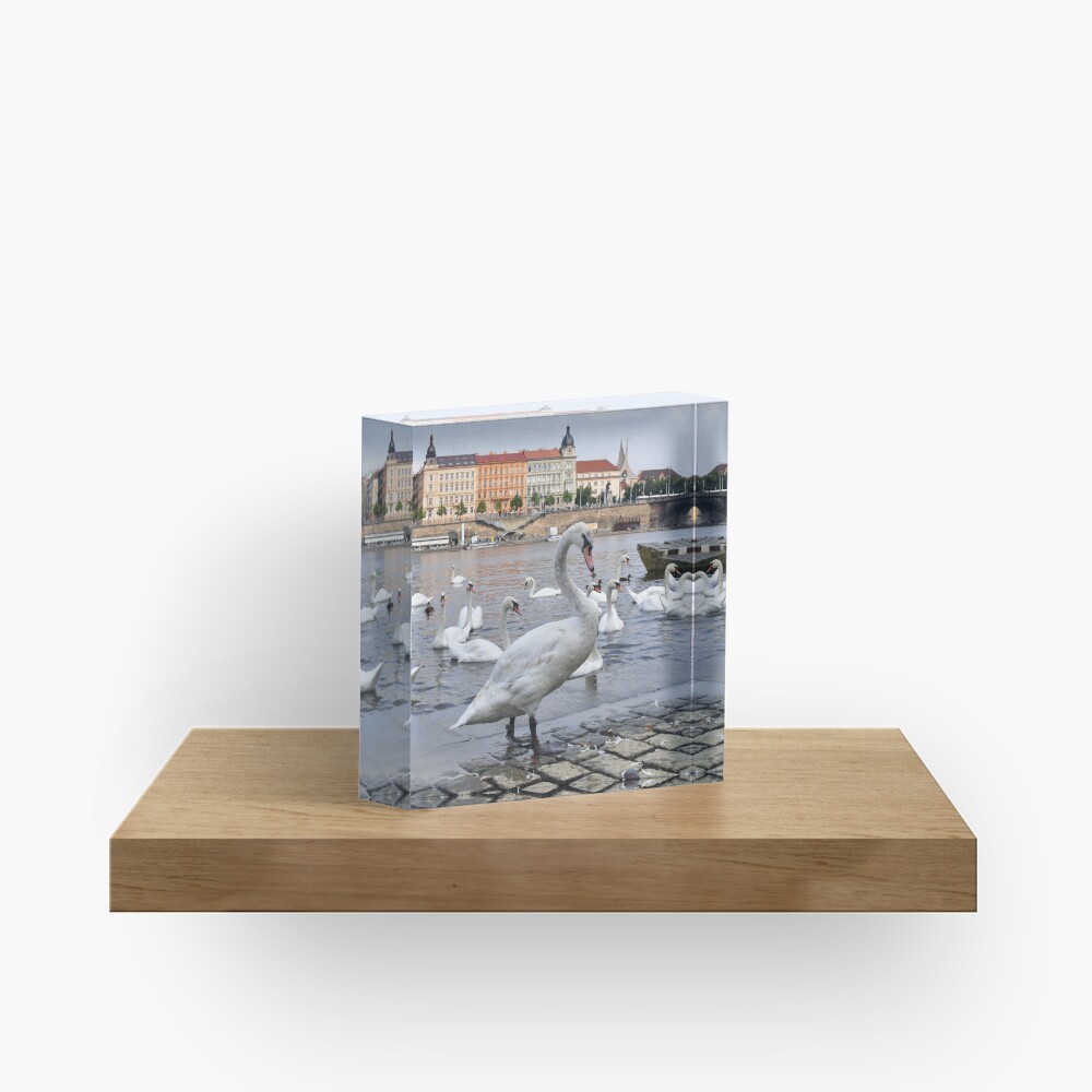 Item preview, Acrylic Block designed and sold by KarenEspig.