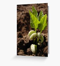 Breaking Ground Greeting Card