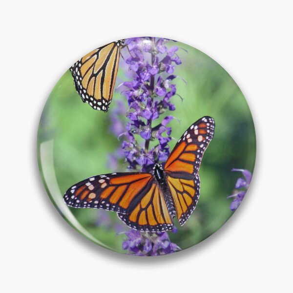 Item preview, Beautiful butterfly and mov flowers in the garden  designed and sold by MohamedRashed15.