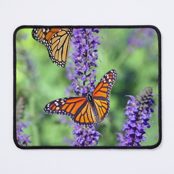 Item preview, Beautiful butterfly and mov flowers in the garden  designed and sold by MohamedRashed15.