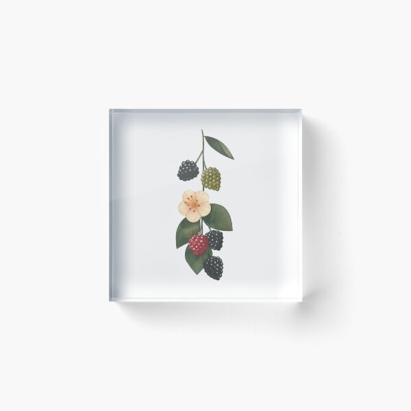 Brambly Hedge Classic T-shirt Acrylic Block