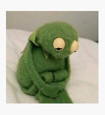 sad kermit Photographic Print