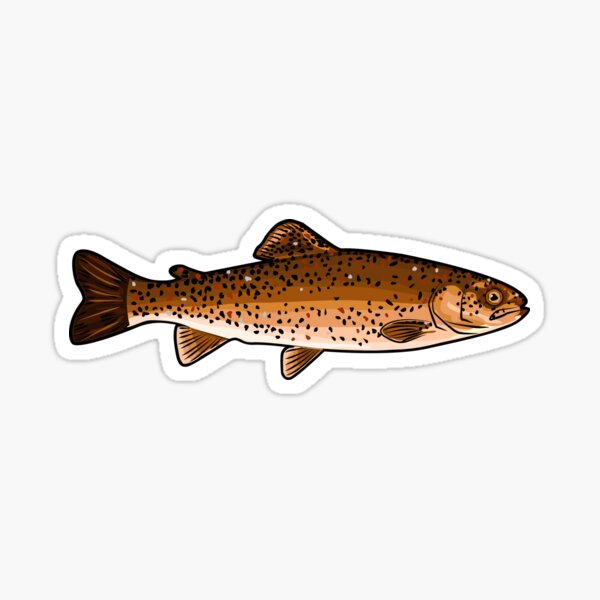 Trout Sticker Decal Fly Fishing Fish Rainbow Brooke Brown Sage XO 