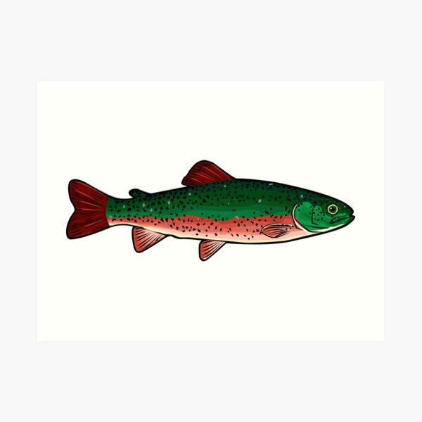 Brook Trout Graphic Art Print for Sale by Noble Bison
