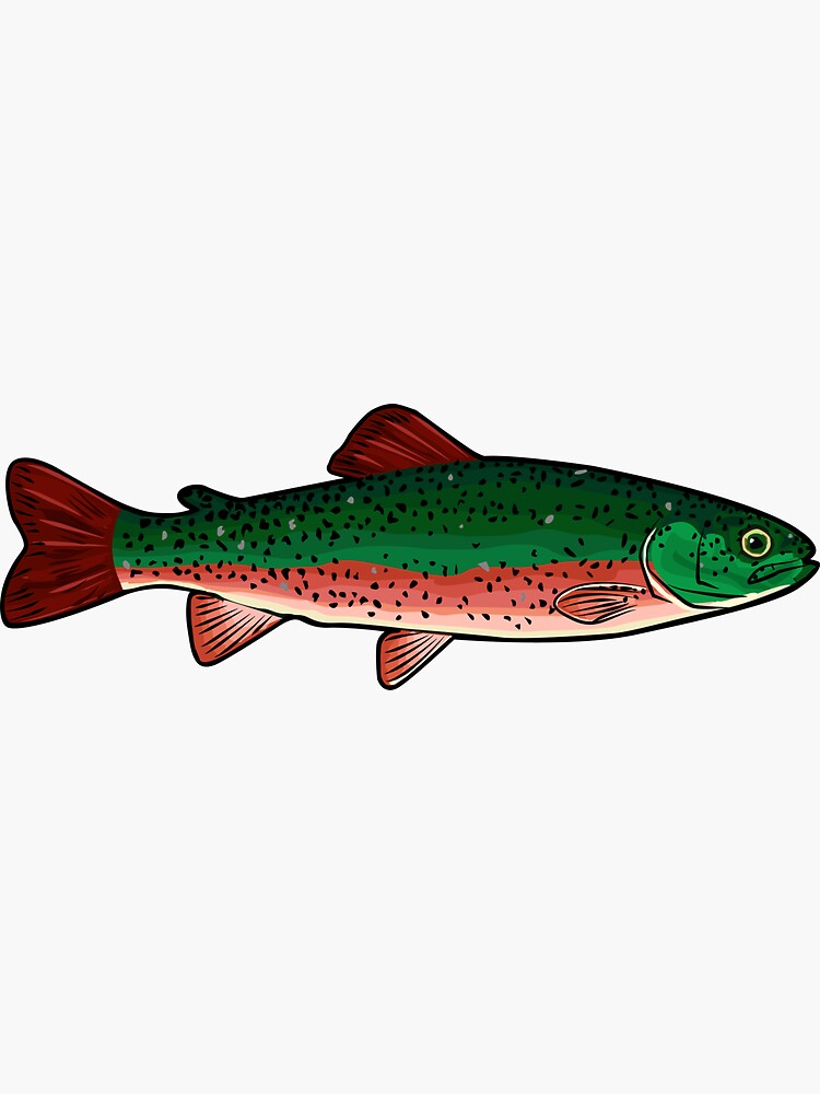 "Brook Trout Graphic" Sticker by MOVDV Redbubble
