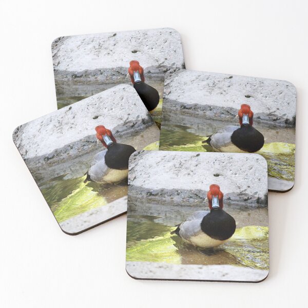 Item preview, Redhead Duck designed and sold by Cynthia48.