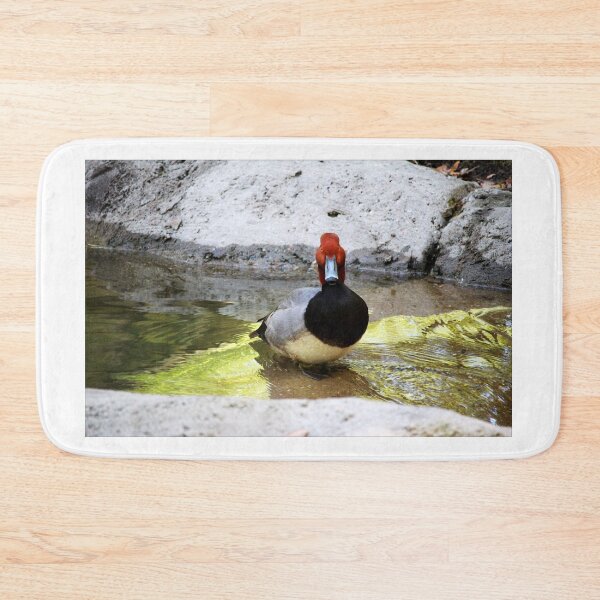 Item preview, Redhead Duck designed and sold by Cynthia48.