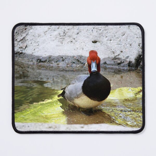 Item preview, Redhead Duck designed and sold by Cynthia48.