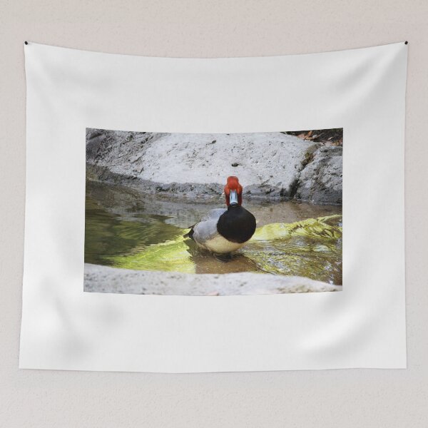 Item preview, Redhead Duck designed and sold by Cynthia48.