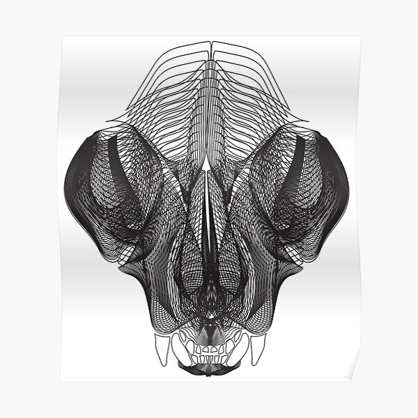 "Cat Skull "xray"" Poster by bloodsweatbeer Redbubble