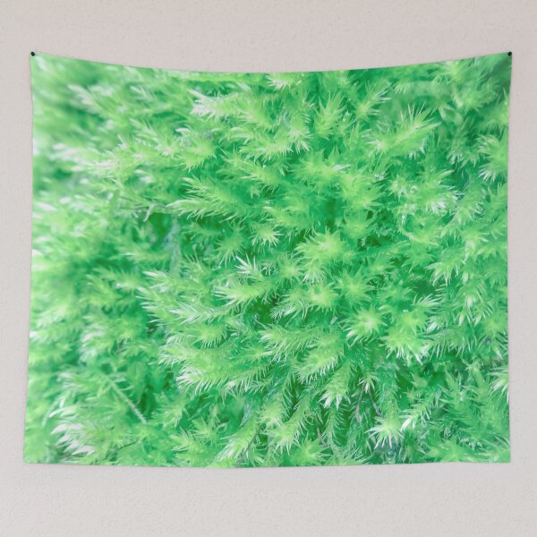 Item preview, Pacific Spirit: Soft and Squishy designed and sold by Chancelrie.