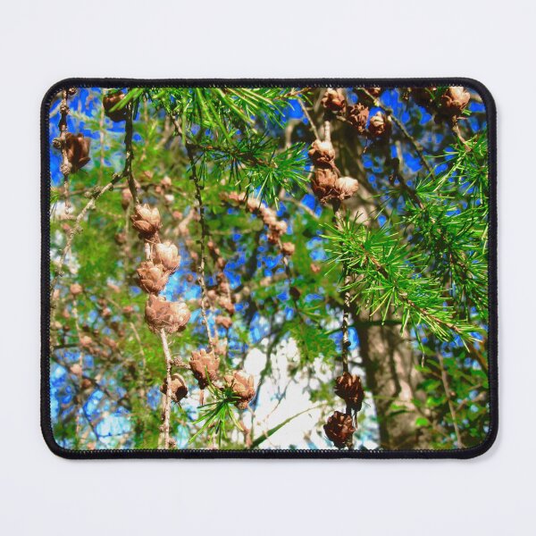 Item preview, Pine cones in Mer Bleue designed and sold by Shulie1.
