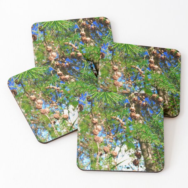 Item preview, Pine cones in Mer Bleue designed and sold by Shulie1.