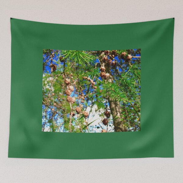 Item preview, Pine cones in Mer Bleue designed and sold by Shulie1.