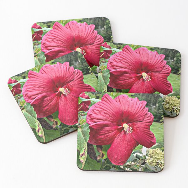 Item preview, "luna hibiscus" hibiscus luna rose designed and sold by Shubatdesigns.