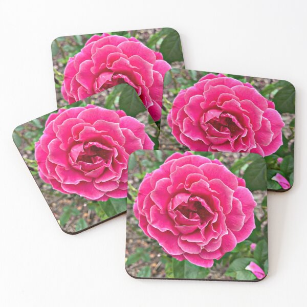 Item preview,  "garden roses Pink garden roses" designed and sold by Shubatdesigns.