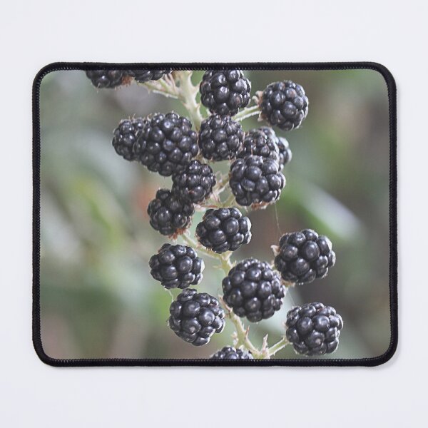 Item preview, Black Berries designed and sold by Paul Pasco.