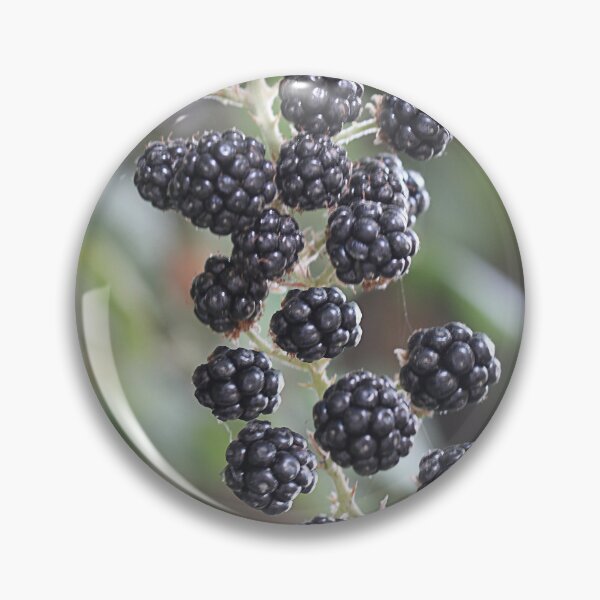 Artikelvorschau, Brombeeren entworfen und verkauft von Paul Pasco.