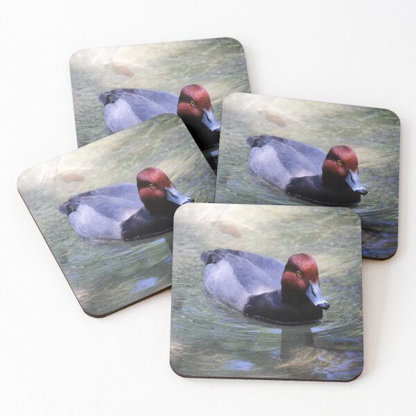 Item preview, Male Redhead Duck designed and sold by Cynthia48.
