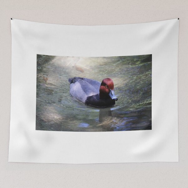 Item preview, Male Redhead Duck designed and sold by Cynthia48.