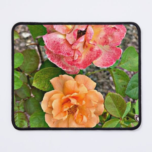 Item preview, floribunda rose Frida Kahlo designed and sold by Shubatdesigns.