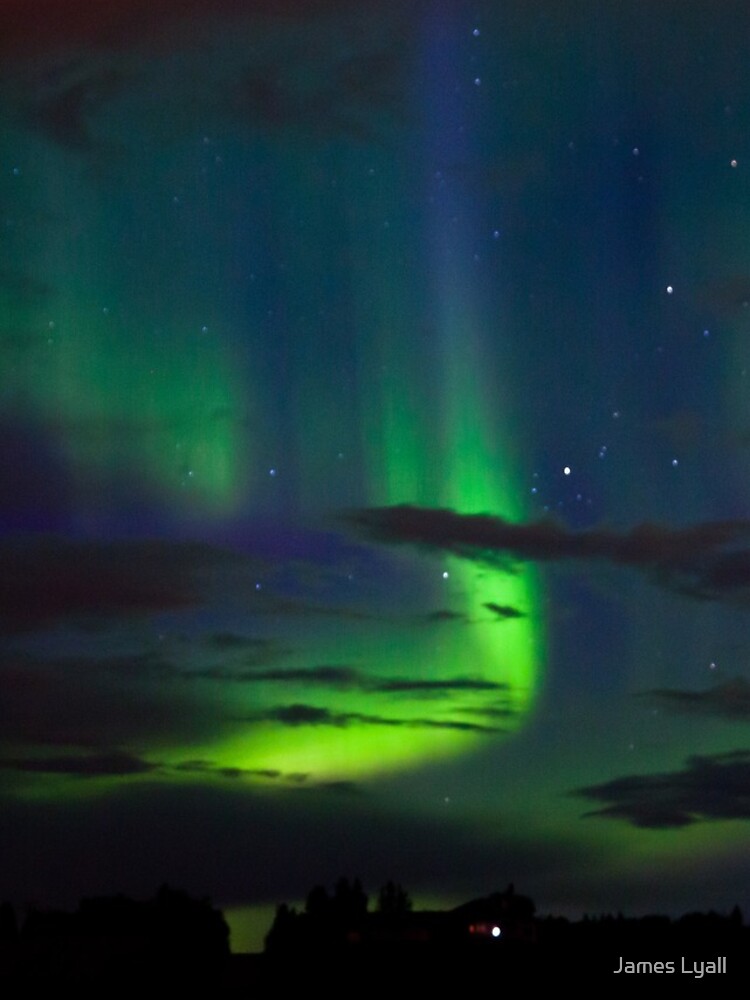 Edmonton Aurora Borealis by corwin