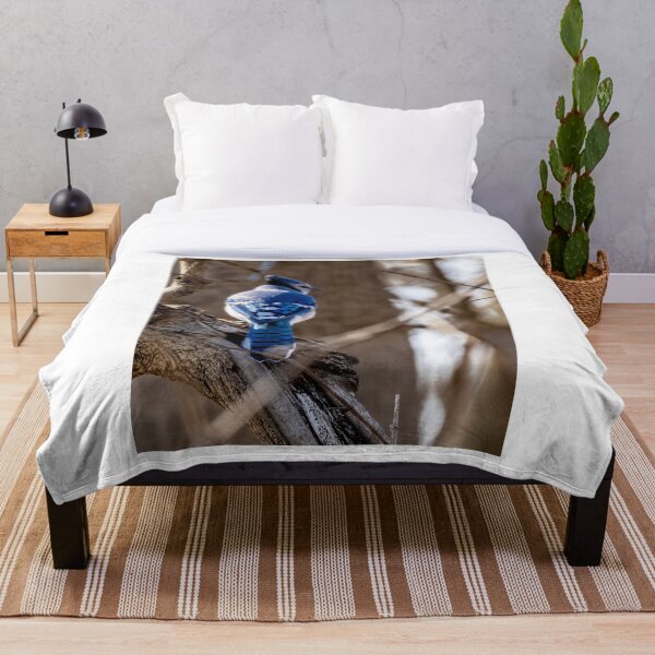 Item preview, A Blue Jay in the forest designed and sold by TP-Designs.