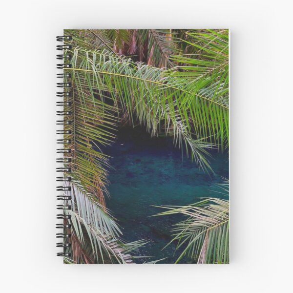 Item preview, Hidden Water Spring designed and sold by lets-travel.