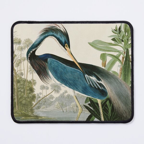 Item preview, Louisiana Heron by John James Audubon designed and sold by Natural History Prints.