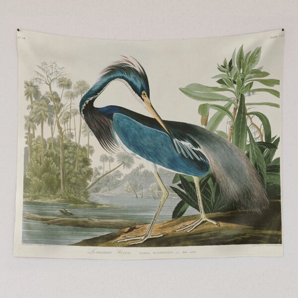Item preview, Louisiana Heron by John James Audubon  designed and sold by Natural History Prints.