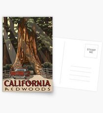 Redwood National Park California Vintage Travel Decal Postcards