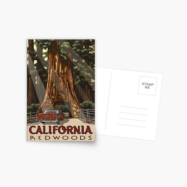 Artikel-Vorschau von Redwood National Park Kalifornien Vintage Reiseaufkleber, designt und verkauft von MeLikeyTees.