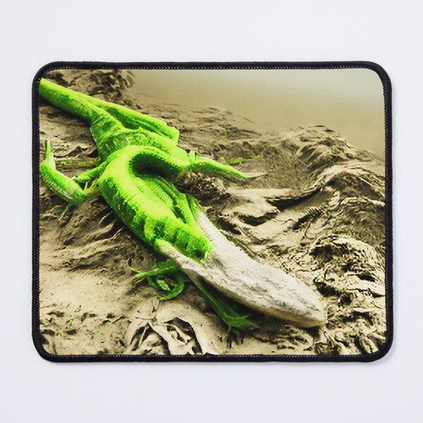 Item preview, Alien Beach E5 designed and sold by rabogallery2020.