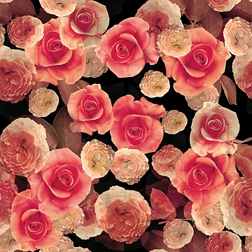 Artwork thumbnail, Pattern Collage Roses by Marilia Hermoso