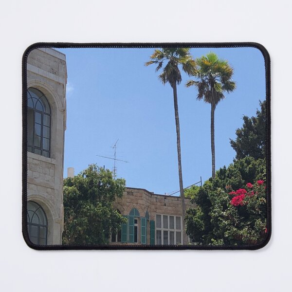 Artikelvorschau, Haifa, Palmen, Heiliges Land entworfen und verkauft von PicsByMi.