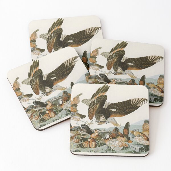 Item preview, Virginian Partridge by John James Audubon designed and sold by Natural History Prints.
