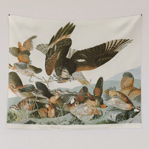 Item preview, Virginian Partridge by John James Audubon designed and sold by Natural History Prints.
