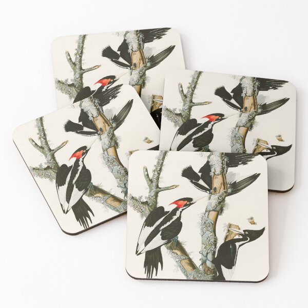 Item preview, Ivory-billed Woodpecker by John James Audubon designed and sold by Natural History Prints.