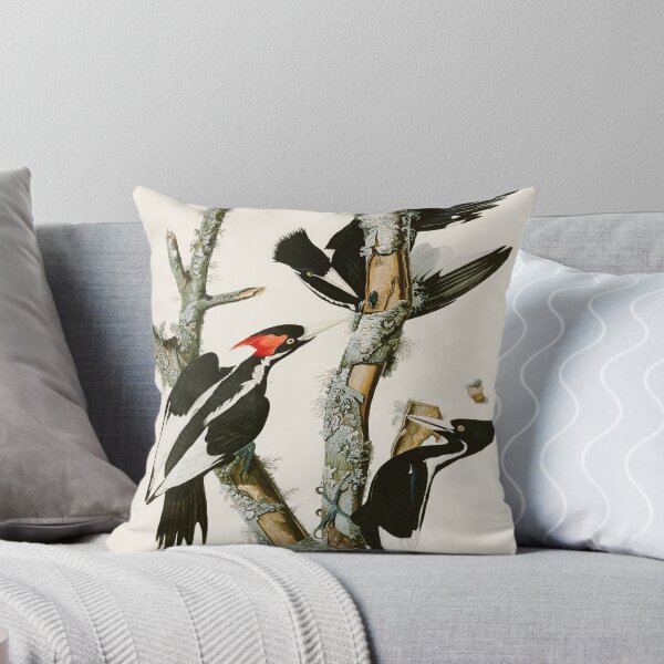 Item preview, Ivory-billed Woodpecker by John James Audubon designed and sold by Natural History Prints.