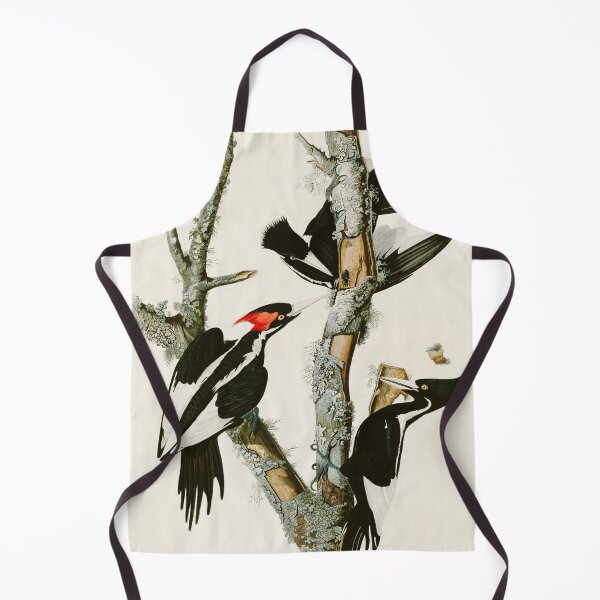 Item preview, Ivory-billed Woodpecker by John James Audubon designed and sold by Natural History Prints.